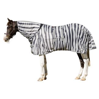 45841_zebra.jpg