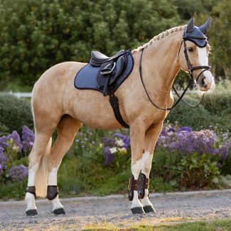 LeMieux® Classic Fly Hood