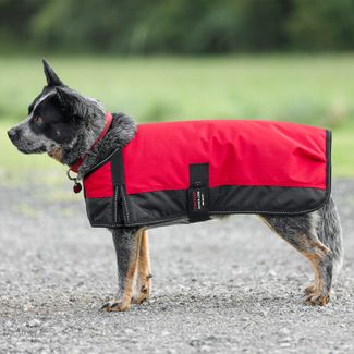 Schneiders® Waterproof Reflective Dog Coat IIimage
