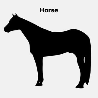 ARMORFlex® Pro Adjusta-Fit® Turnoutstrait image