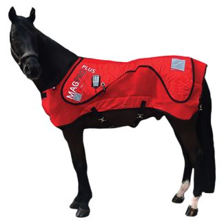 Magpro Plus PEMF and Heat Blanketimage