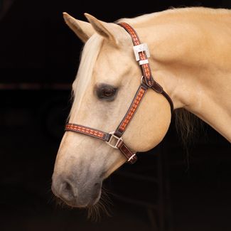 Schneiders® Sunburst Ranch Western Show Halterimage