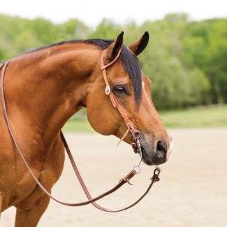 Billy Royal® Rolled One Ear Finished Hermann Oak Headstallimage