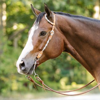 Schneiders® Two Ear Silver Plated Concho Western Show Headstallimage