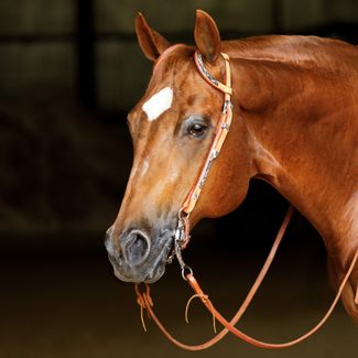 Schneiders® Two Ear Silver Plated Western Show Headstallimage