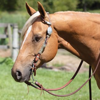 Schneiders® Two Ear Tooled Show Headstall with Rawhide Accentsimage