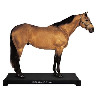EquiVibe 4080 Equine Vibration Machineimage