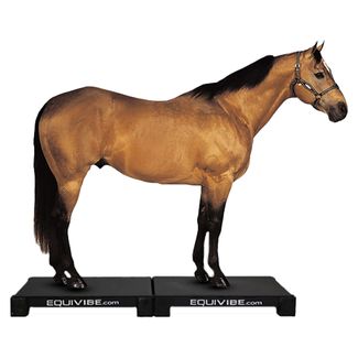 EquiVibe 3540 Equine Vibration Machineimage