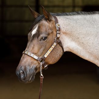 Schneiders® Phoenix II Silver Show Halter with Leadimage