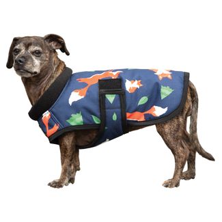 Schneiders® Limited Edition Fox Waterproof Insulated Dog Coatimage