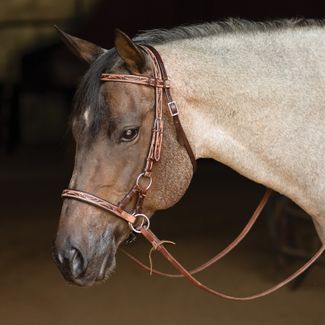 Schneiders Tooled Leather Side Pull Full Horse