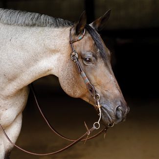 Schneiders® Turquoise Rawhide Rolled One Ear Headstallimage