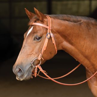 Billy Royal® Finished Leather Hermann Oak Browband Headstall with Water Tiesimage