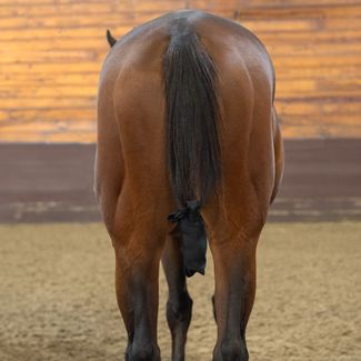 UltraFlex® Short Lycra Tail Bags - Set of 3image