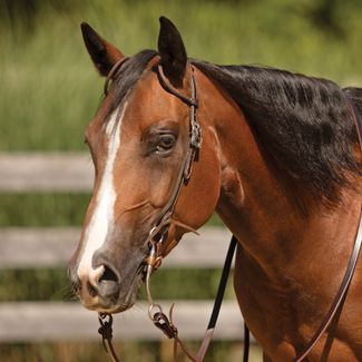 Billy Royal® Canyon Ranch Two Ear Ranch Headstallimage
