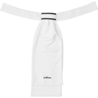 LeMieux Sporty Stock Tieimage