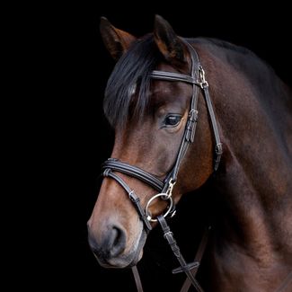 Waldhausen X-Line Bridle Workimage
