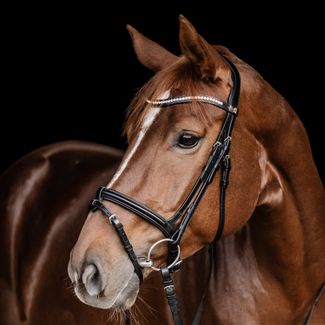 Waldhausen S-Line Harmony Snaffle Bridle