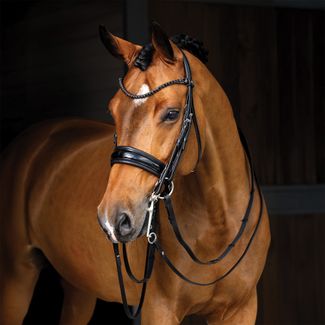 LeMieux Kudos Double Bridleimage