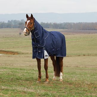 Weatherbeeta Comfitec Ultra Detach-A-Neck 220G Turnout Blanketimage
