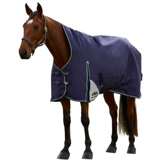 Weatherbeeta Comfitec Plus Dynamic High Neck 220G Turnout Blanketimage