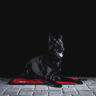 Sport Innovations Magnetic Dog Mat X-Largeimage