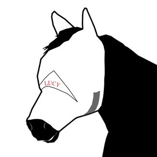 SMALL EMBROIDERY FLY MASK 1 LINE NOSEimage