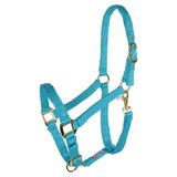 Dura-Tech® Cushion Web Halter10558_teal.jpg image