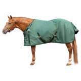 ARMORFlex® Challenger V-Free® Fit Medium Weight Turnout Blanket - Surcingle13156_greenblack.jpg image