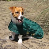 Dura-Tech® Channel Quilted Dog Blanket - XXS, XS, SM13257_green.jpg image
