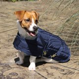 Dura-Tech® Channel Quilted Dog Blanket - XXS, XS, SM13257_navy.jpg image