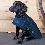 Dura-Tech® Channel Quilted Dog Coat - LG, XL13259_navy.jpg image