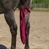 UltraFlex® Lycra Tail Bag (Package Of 3)13833_burgundy.jpg image