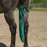 UltraFlex® Lycra Tail Bag (Package Of 3)13833_green.jpg image