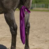 UltraFlex® Lycra Tail Bag (Package Of 3)13833_purple.jpg image