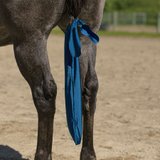 UltraFlex® Lycra Tail Bag (Package Of 3)13833_royal.jpg image