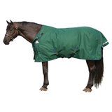 ARMORFlex® Turnout Blankets17121w_green.jpg image