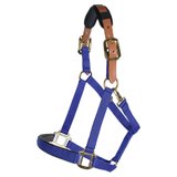 Dura-Tech® Comfort Plus Nylon Breakaway Halter18370_royal.jpg image
