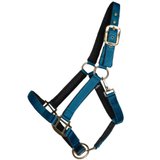 Dura-Tech® Deluxe Fully Padded Nylon Halter18541_marine.jpg image