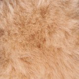 Merino Sheepskin 9pc Halter Set36406_tan.jpg image