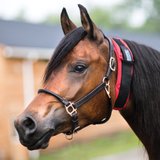 Dura-Tech® All Day Throatlatch Wrap37938_red.jpg image