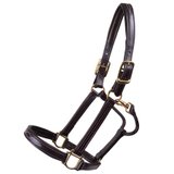 Walsh™ Signature Padded Leather Halter38852_havanahavana.jpg image