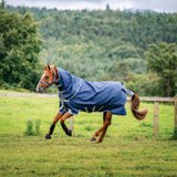 Amigo® Bravo 12 Plus Medium Weight Turnout Blanket40324_navytitaniumgrey.jpg image