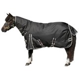 Stormshield Blizzard Miniature Combo Turnout Sheet40969_black.jpg image