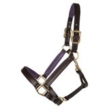 Schneiders® Double Stitch Contrast Color Padded Leather Halter45474_brownpurple.jpg image