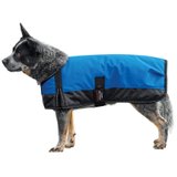 Schneiders® Insulated Waterproof Reflective Dog Coat II45959_royal.jpg image