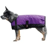 Schneiders® Insulated Waterproof Reflective Dog Coat II45962_purple.jpg image
