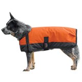 Schneiders® Waterproof Reflective Dog Coat II45965_orange.jpg image
