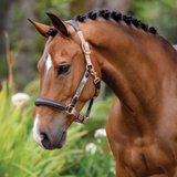 LeMieux® Capella Headcollar45968_mink.jpg image