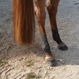 EquineSleeve® 2x10 Vented Pair46539_black.jpg image